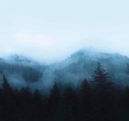 Superfresco Easy Misty Landscape Navy Print To Order 3m x 2.8m Mural - thumbnail 2