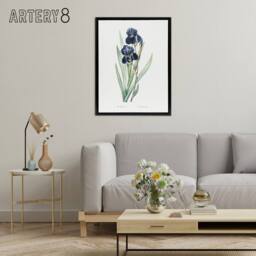 "Artery8 Bearded Iris Botanical Redoute Vintage Black Framed Canvas Wall Art in White - Size: W12"" x H16""" - thumbnail 3