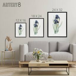"Artery8 Bearded Iris Botanical Redoute Vintage Black Framed Canvas Wall Art in White - Size: W12"" x H16""" - thumbnail 4