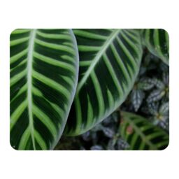 Benjamin Tate Design yellow structure in exotic jungle setting Designer Blanket in Natural - Size: 120 cm x 150 cm - thumbnail 1