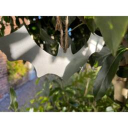 Poppyforge Hanging Bat Garden Art (Pack of 3) - W20 x H8 cm in Silver - thumbnail 3