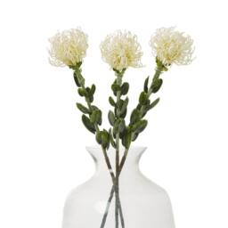 Sostter Cream Protea Pincushion Faux Flower Stem - thumbnail 1
