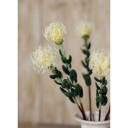 Sostter Cream Protea Pincushion Faux Flower Stem - thumbnail 5