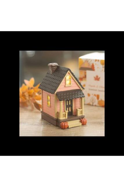 KDMD Pink LED Light Up Resin House Decoration with Pumpkin in Dusty Pink - image 1