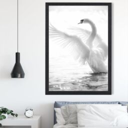 ARTZE Graceful Swan Bird Black & White Photo Framed Print SIZE: A4 with Black Frame - Size: A2 - thumbnail 2