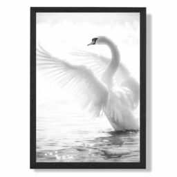 ARTZE Graceful Swan Bird Black & White Photo Framed Print SIZE: A4 with Black Frame - Size: A2 - thumbnail 1