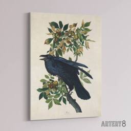 "Artery8 Birds of America Raven Audubon Nature Canvas Wall Art in White - Size: W18"" x H24""" - thumbnail 2