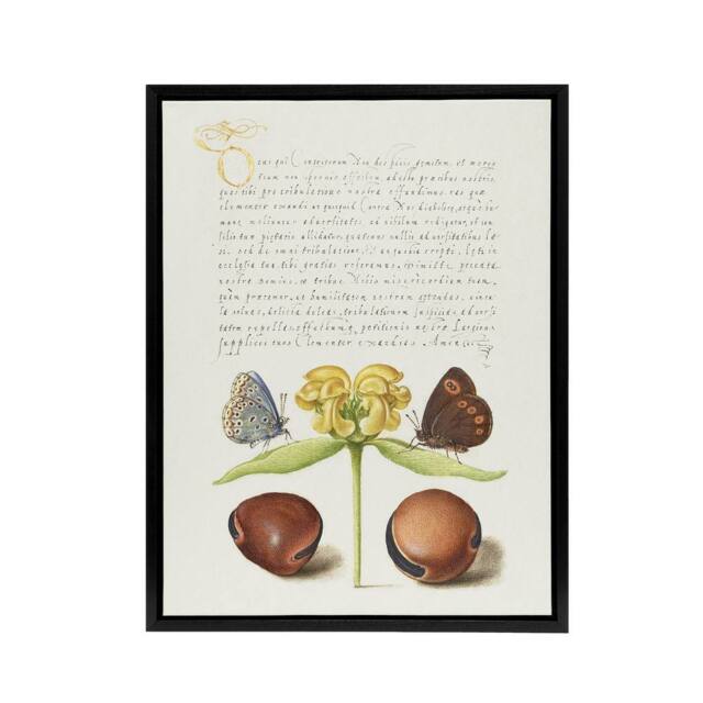 "Artery8 Moths Jerusalem Sage & Beans Calligraphy Framed Canvas Wall Art in White - Size: W24"" x H32""" - image 1