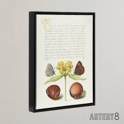 "Artery8 Moths Jerusalem Sage & Beans Calligraphy Framed Canvas Wall Art in White - Size: W24"" x H32""" - thumbnail 2