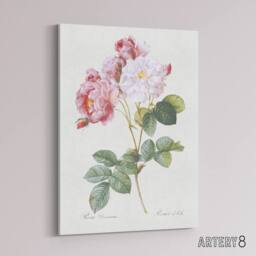 "Artery8 Pink Rosebush Flowers Redoute Vintage Canvas Wall Art in White - Size: W18"" x H24""" - thumbnail 2