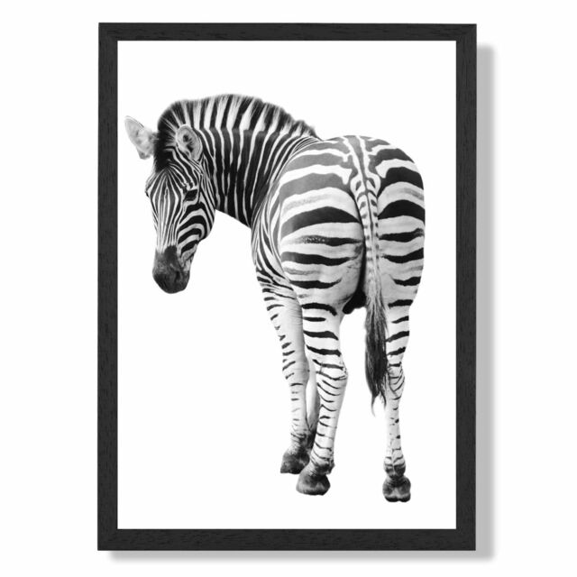 ARTZE Cheeky Zebra Animal Black & White Photo Framed Print SIZE: A3 with Black Frame - Size: A4 - image 1