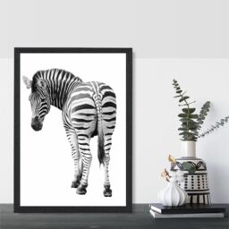 ARTZE Cheeky Zebra Animal Black & White Photo Framed Print SIZE: A3 with Black Frame - Size: A4 - thumbnail 2
