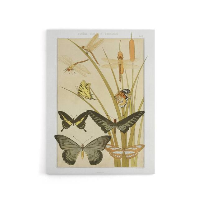 "Artery8 Butterflies & Dragonflies Canvas Wall Art Print Verneuil in Khaki - Size: W18"" x H24""" - image 1