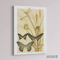 "Artery8 Butterflies & Dragonflies Canvas Wall Art Print Verneuil in Khaki - Size: W18"" x H24""" - thumbnail 2