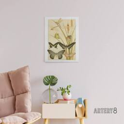 "Artery8 Butterflies & Dragonflies Canvas Wall Art Print Verneuil in Khaki - Size: W18"" x H24""" - thumbnail 3
