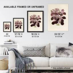 Artery8 Joyweed Plant Vintage Botanical Artwork Fawcett Framed Wall Art Print in Beige - Size: A4 - thumbnail 3