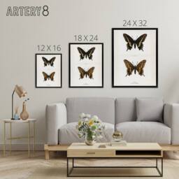 "Artery8 Black Swallowtail Butterfly Sherman Denton Framed Canvas Wall Art in White - Size: W12"" x H16""" - thumbnail 4