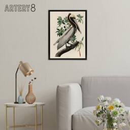 "Artery8 Audubon Birds Of America Pelican Framed Canvas Wall Art Print - Size: W12"" x H16""" - thumbnail 3