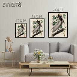 "Artery8 Audubon Birds Of America Pelican Framed Canvas Wall Art Print - Size: W12"" x H16""" - thumbnail 4