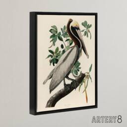 "Artery8 Audubon Birds Of America Pelican Framed Canvas Wall Art Print - Size: W12"" x H16""" - thumbnail 2