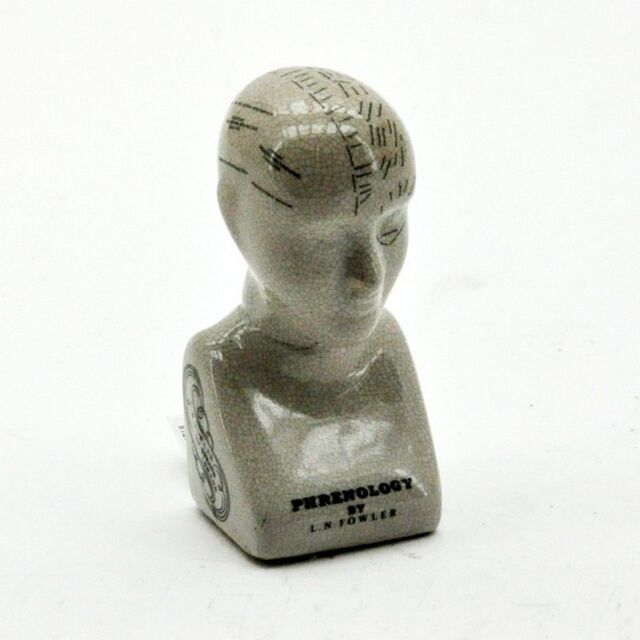 Minster 6 Inches Phrenology Head Ornament - L7 x W8 x H16 cm in Brown - Size: 1 Pack
