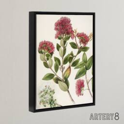 "Artery8 New Zealand Rata Flowers Illustration Featon Framed Canvas Wall Art in Beige - Size: W12"" x H16""" - thumbnail 2