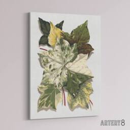 "Artery8 Various Ivy Leaves Watercolor Painting Hibberd Canvas Wall Art in Green - Size: W18"" x H24""" - thumbnail 2