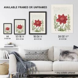 Artery8 Poppy Anemone & Myrtle Calligraphy Framed Wall Art Print in White - Size: A4 - thumbnail 3