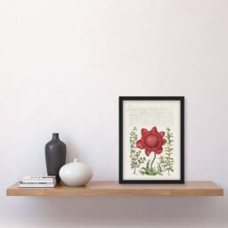Artery8 Poppy Anemone & Myrtle Calligraphy Framed Wall Art Print in White - Size: A4 - thumbnail 4