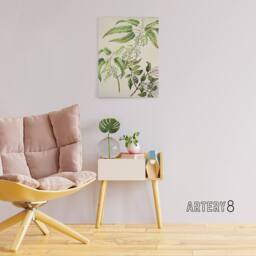 "Artery8 New Zealand Ongaonga Tree Nettle Plant Featon Canvas Wall Art Print in Beige - Size: W12"" x H16""" - thumbnail 3