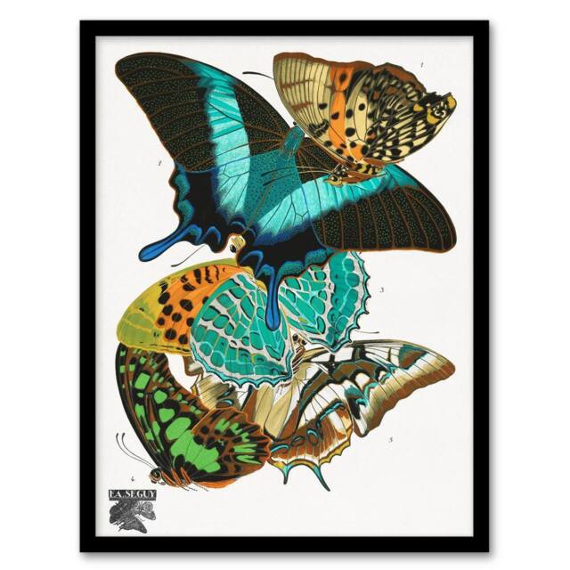 Artery8 Colourful Butterflies Vintage Framed Wall Art Print Eugene Seguy - Size: A4 - image 1