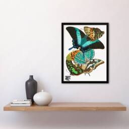 Artery8 Colourful Butterflies Vintage Framed Wall Art Print Eugene Seguy - Size: A4 - thumbnail 4