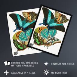 Artery8 Colourful Butterflies Vintage Framed Wall Art Print Eugene Seguy - Size: A4 - thumbnail 2