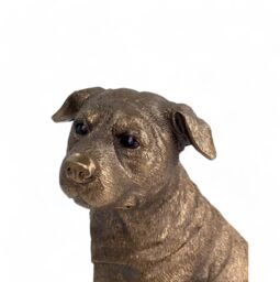 Animal Crackers Staffordshire Bull Terrier Bronze Effect Dog Figurine From The Reflections Bronzed Range By Leonardo, In Quality Gold Gift Box - thumbnail 6