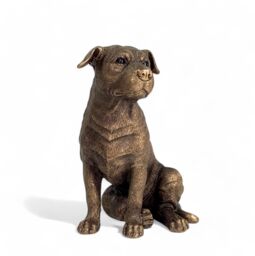 Animal Crackers Staffordshire Bull Terrier Bronze Effect Dog Figurine From The Reflections Bronzed Range By Leonardo, In Quality Gold Gift Box - thumbnail 2