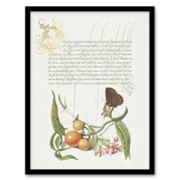 Artery8 Butterfly Cherries & Milkwort Calligraphy Framed Wall Art Print in White - Size: A4 - thumbnail 1