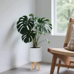 simpa Urban 12L Round Plastic Planter with Wooden Legs in Off-White - thumbnail 2