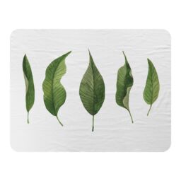 Benjamin Tate Design Selection Of leaves Designer Blanket in Natural - Size: 120 cm x 150 cm - thumbnail 1