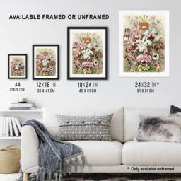 "Artery8 Orchid Flower Colourful Varieties Haeckel Wall Art Print Poster - Size: W18"" x H24""" - thumbnail 3
