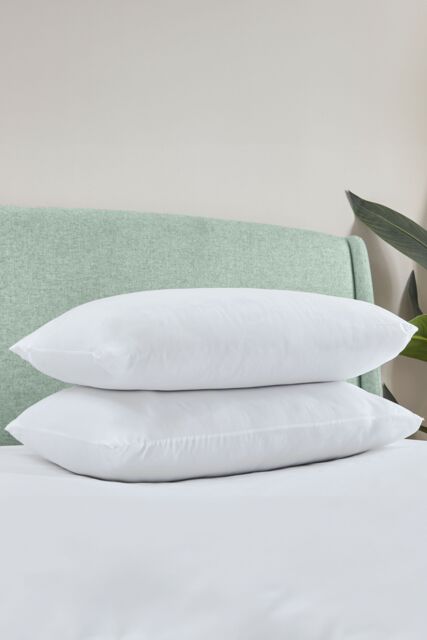 Catherine Lansfield 'Anti Allergy' Hollowfibre Pillow Pair in White - image 1