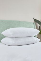 Catherine Lansfield 'Anti Allergy' Hollowfibre Pillow Pair in White - thumbnail 1