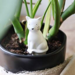 Lisa Angel Women's Cat Plant Watering Spike in White - thumbnail 1