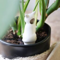 Lisa Angel Women's Cat Plant Watering Spike in White - thumbnail 2
