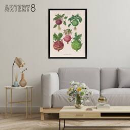 "Artery8 Kohlrabi Turnip Cabbage Ernst Benary Framed Canvas Wall Art Print in White - Size: W12"" x H16""" - thumbnail 3