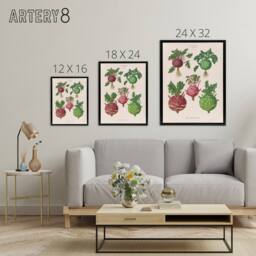 "Artery8 Kohlrabi Turnip Cabbage Ernst Benary Framed Canvas Wall Art Print in White - Size: W12"" x H16""" - thumbnail 4