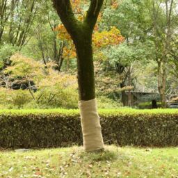 Berkfield Home Jute Roll 1x10 m 100% Jute 200 gsm