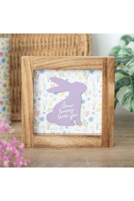 KDMD Some Bunny Loves You Wooden Frame Sign in White - image 1