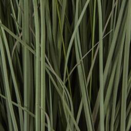 Lemon Pavilion Furniture and Decor Large Fountain Grass Plant in Pot - Plastic - Height 81 cm - Green - thumbnail 3