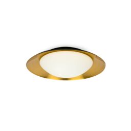 Netlighting Side LED Indoor Medium Flush Wall Light Black Copper