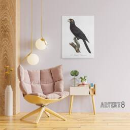 "Artery8 The Greater Vasa Parrot Francois Levaillant Canvas Wall Art Print in White - Size: W12"" x H16""" - thumbnail 3